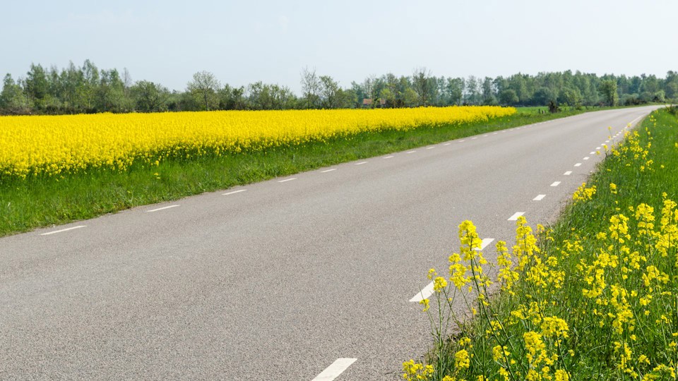 Trafik och gator 960X540
