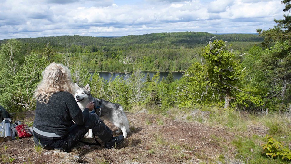 Uppleva och göra 960X540